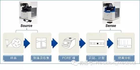 基因突變檢測技術(shù) 原理、應(yīng)用與未來展望