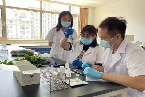 推廣應用快速檢測技術，筑牢農產品質量安全“最初一公里”防線