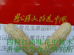 四粒紅鹵味花生技術轉讓全攻略 掌握核心工藝，開啟創業之路